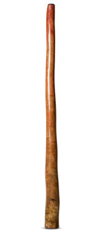 Tristan O'Meara Didgeridoo (TM283)